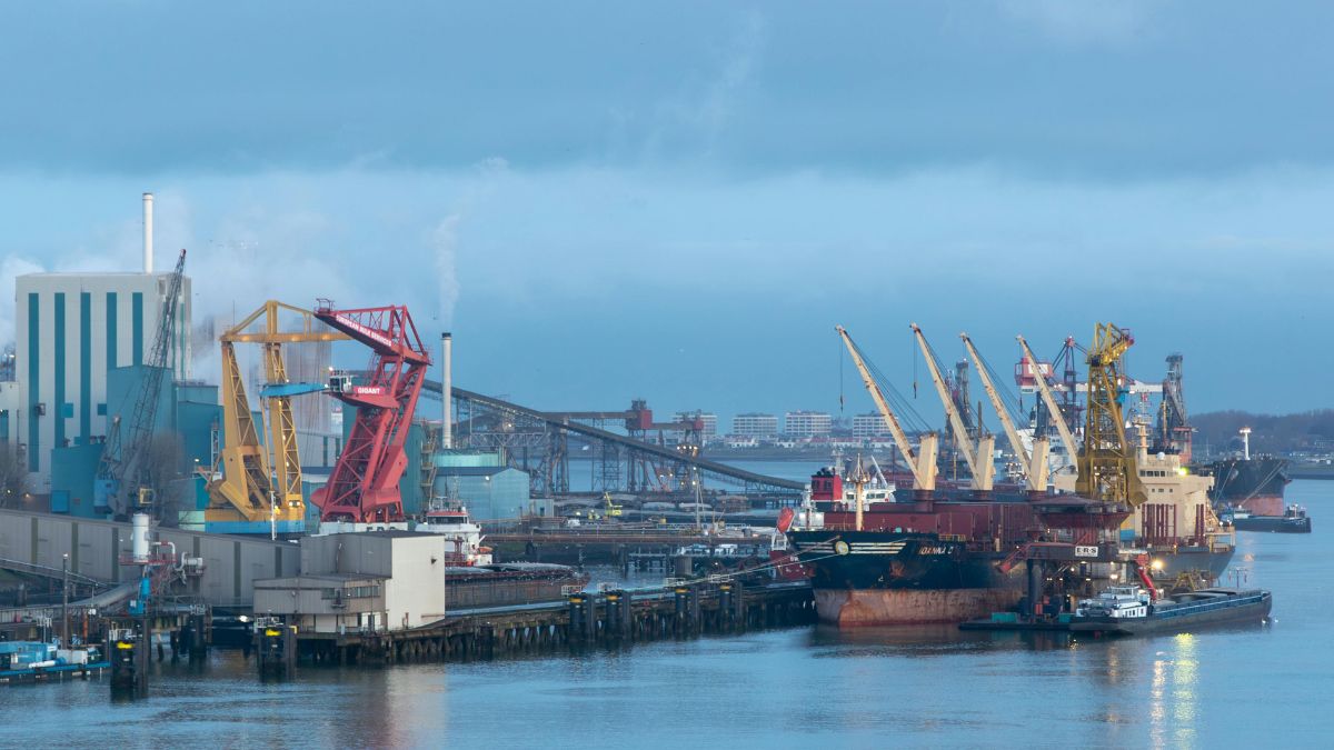Incoterm FAS : à quoi sert le Free Alongside Ship ?